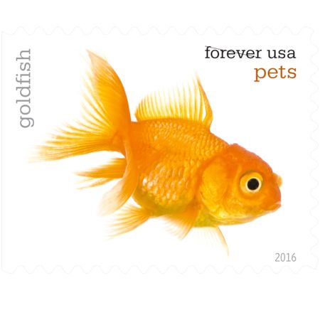 100 Gold Fish Postage Stamps Unused Forever Stamps for Mailing / Pet Gold Fish Postage